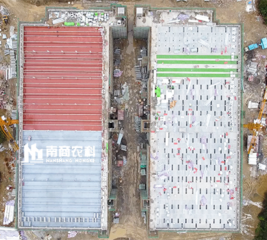 南商農(nóng)科：貴州遵義高樓養(yǎng)殖規(guī)模14400頭母豬場