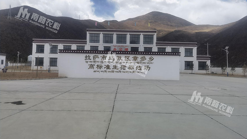 西藏拉薩高標(biāo)準(zhǔn)生豬養(yǎng)殖場(chǎng)