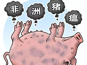 非洲豬瘟能通過(guò)粉塵傳播嗎？